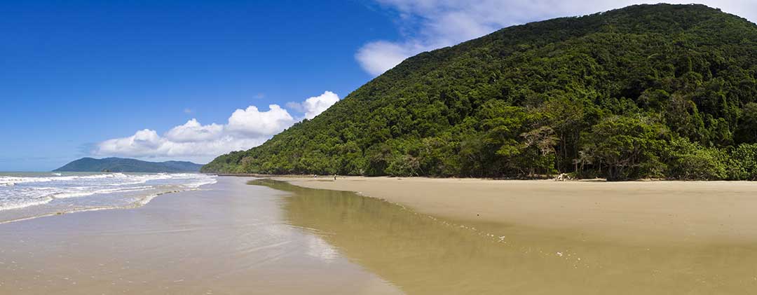 Cape Tribulation