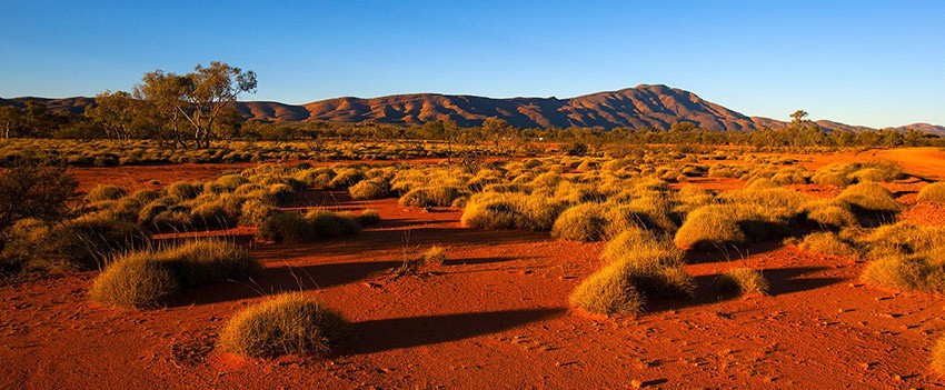 Landscape outback image showing red earth and hills with trees and shrubs