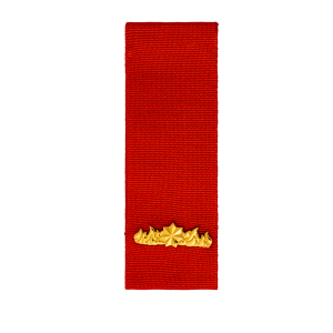 Commendation for Gallantry front