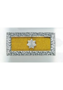 Meritorious Unit Citation front