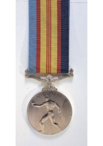 Vietnam Medal back