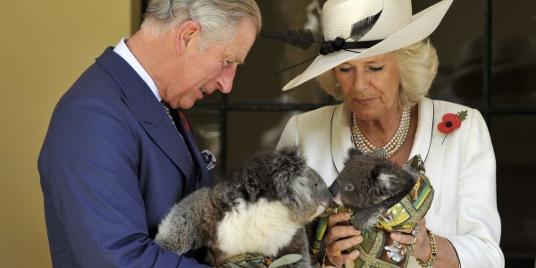 Charles, Prince of Wales and Camilla, Duchess of Cornwall holding two koalas wrapped in blankets.