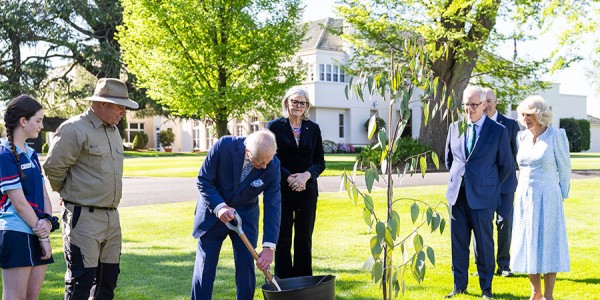 His Majesty and a small group of onlookers, including Her Majesty, stand on a green lawn next to a freshly planted sapling. His Majesty wields a shovel, judiciously filling the sapling’s planting hole with soil.