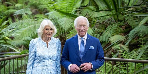 Their Majesties stand and smile in front of a dense wall of bright green rainforest plants.