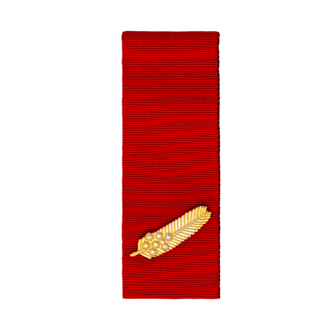 Commendation for Brave Conduct front