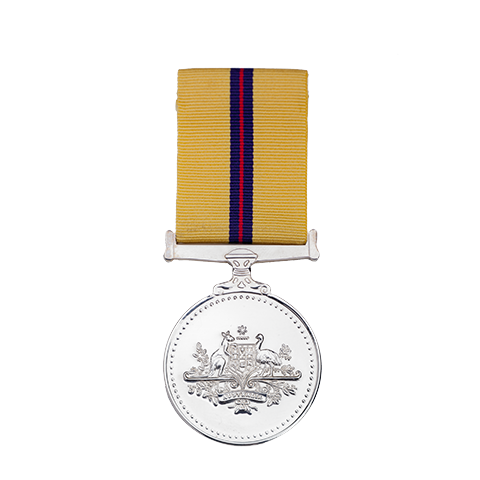 Iraq Medal front Iraq Medal front