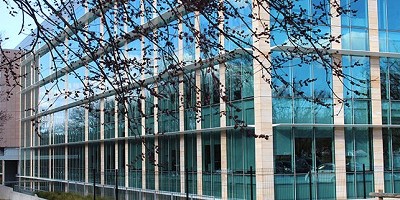 Image of a mainly glass building. In the foreground are hanging branches from an unseen tree as well as some grass.