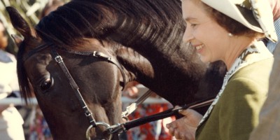 Her Majesty The Queen smiles while patting Without Fear, a brown stallion